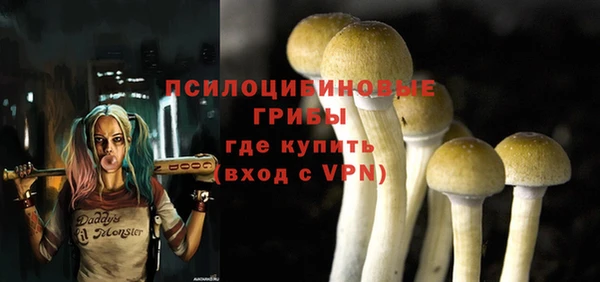 ALPHA PVP Киреевск