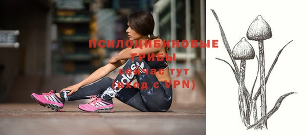 ALPHA PVP Киренск