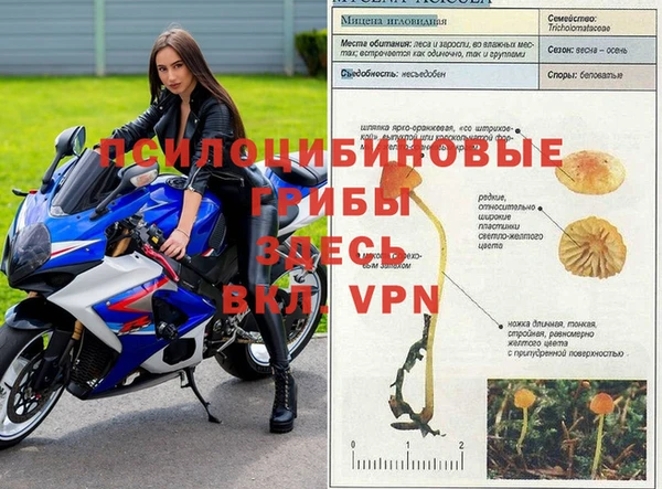 ALPHA PVP Киренск