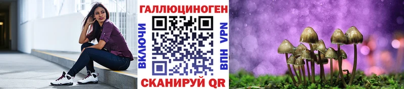 Купить закладки  Ишим  Галлюциногенные грибы Psilocybe 